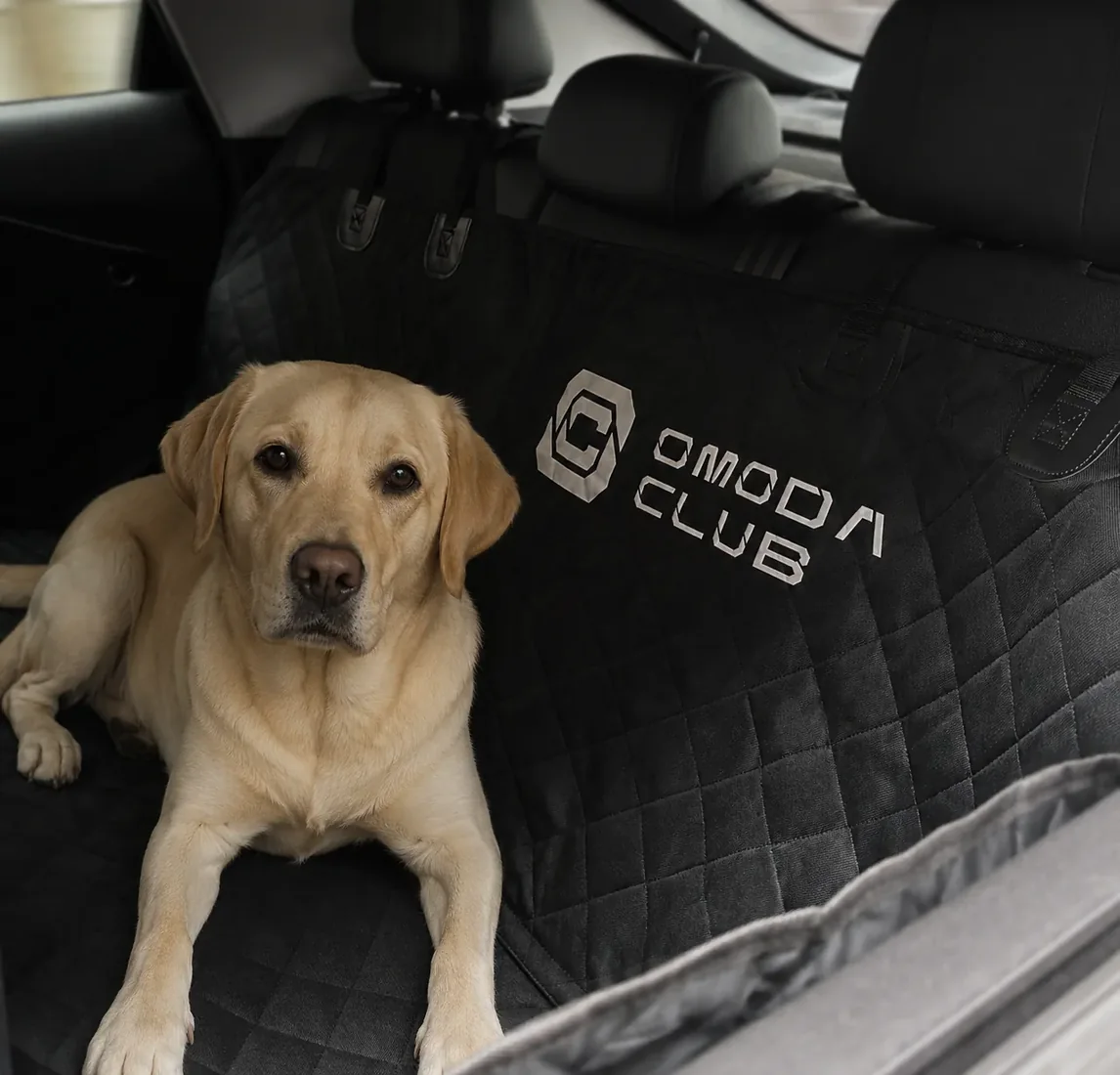 Аксессуары OMODA CLUB