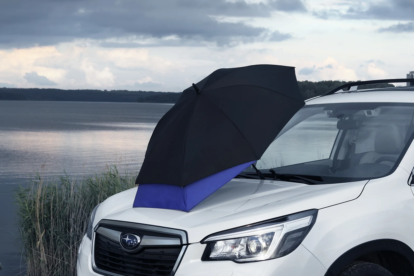 Зонт Subaru Business