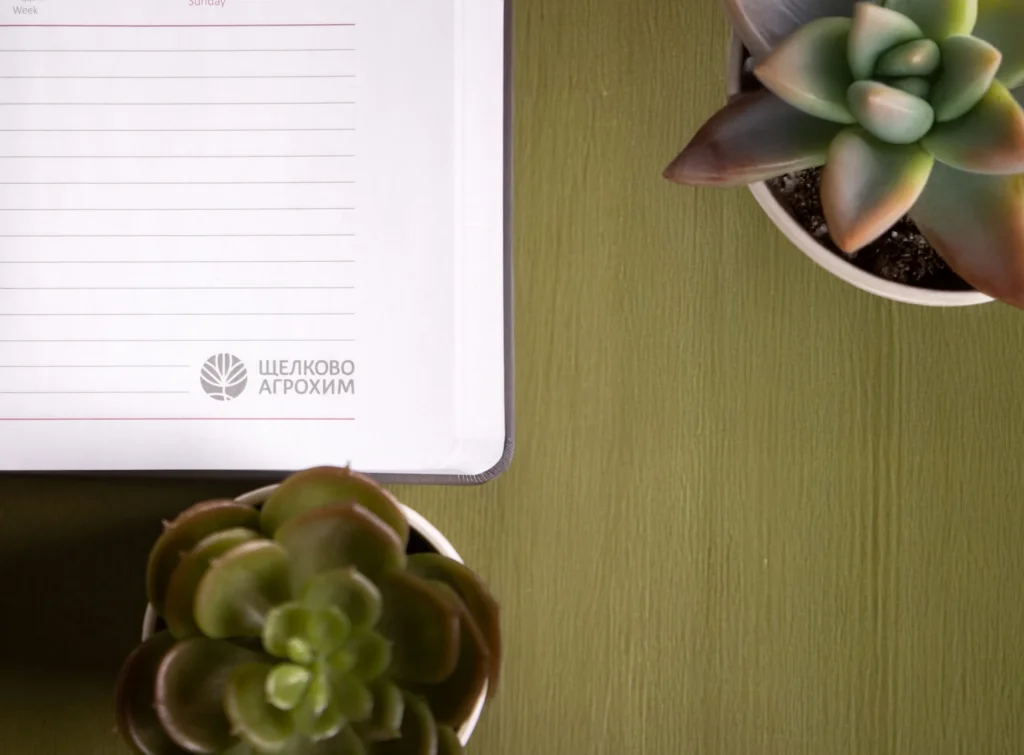 Ежедневник (3)