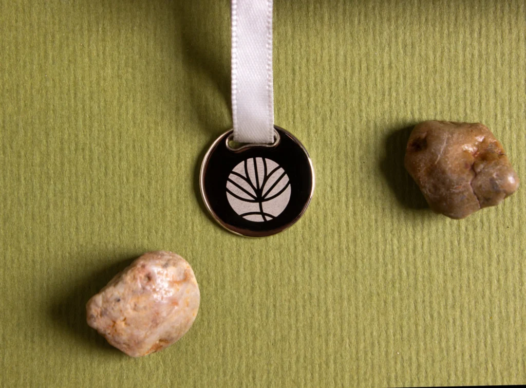 Ежедневник (4)